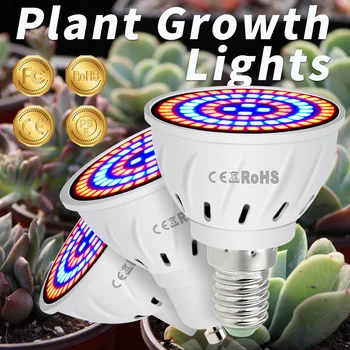 Лампа для выращивания растений B22 E27 LED Grow Light E14 LED Full Spectrum GU10 Лампа Для Выращивания цветов В помещении MR16 LED Фито Лампа