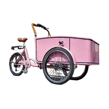 Педальный Электрический Грузовой Велосипед Розового Цвета Голландский Взрослый Трехколесный велосипед Уличная торговая Тележка Для продажи По Индивидуальному заказу