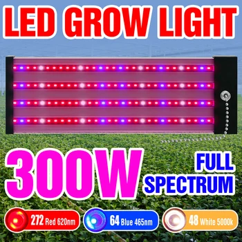 Светодиодные лампы для выращивания Фитолампы Полного спектра, Комнатные семена цветов, растения, светодиодные лампы для выращивания в теплицах, гидропонике, Палатках